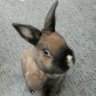 ConstanceZ123's profile picture. 