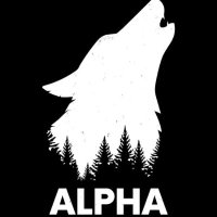 Alpha Brain (@crypto_web3_nft) 's Twitter Profile