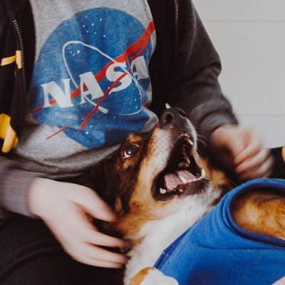 LuccaGMB's profile picture. 