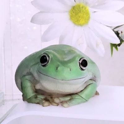 pikaeru_frogs Profile Picture