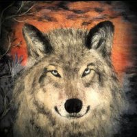 Nazmi Önder Kara (@nazmionder42) 's Twitter Profile