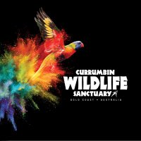 Currumbin Wildlife Sanctuary(@CWSlive) 's Twitter Profileg