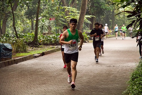 bibirahoy's profile picture. 