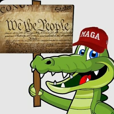I'm just a Constitutional Gator trying to defend our Constitution at all cost. The swamp has way too many bad creatures. #Trump2024