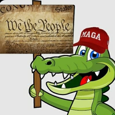 Constitutional Gator