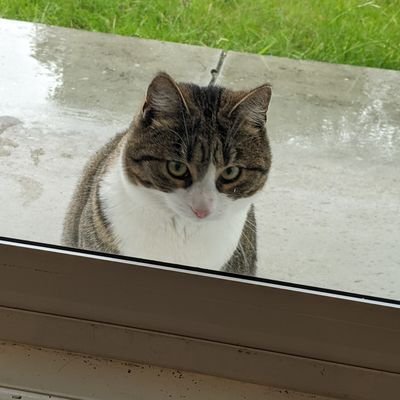 hanimay99's profile picture. 