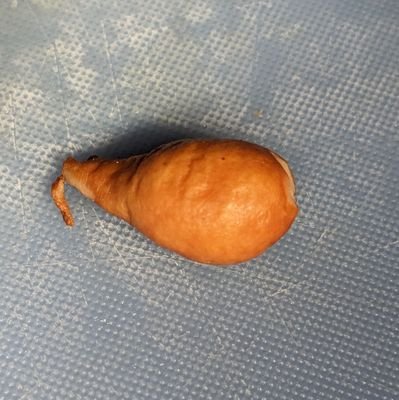 エスゲリと呼んでください。
グローバルオールジャンルコミュニティDiscord鯖を運営しています。ルール等しっかり確認できる方、しっかり交流出来る方なら誰でも歓迎です。
PoE師匠欲しい🥲
#PoE #PathofExile #FPS 
超雑食型ゲーマー
