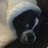 jeffhaff's profile image