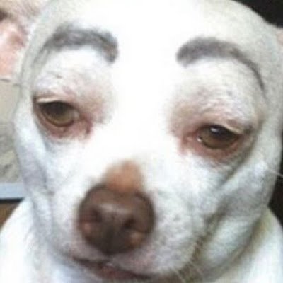 crackDog899517's profile picture. 