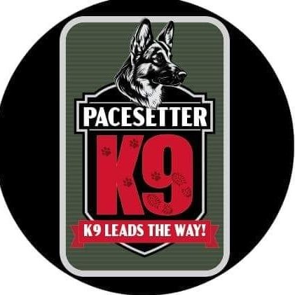 Pacesetter K9 is a Veteran owned and operated corporation that specializes in training top quality K9's for Law Enforcement or personal protection.