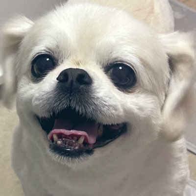 渚さんのプロフィール画像