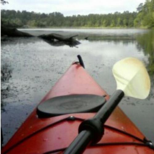 GAkayaker's profile picture. 