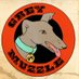 Grey Muzzle Promotions (@GreyMuzzlePromo) Twitter profile photo
