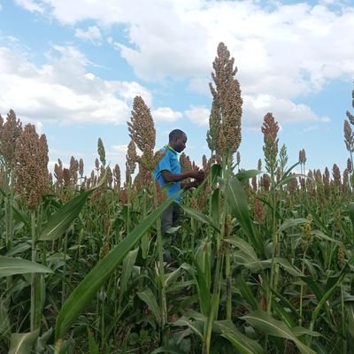 A Technical Agronomist with passion in Agroecology, Soil Health, crop nutrition, Agronomy, Agricultural Value Chains,  etc.

A dedicated team for you.