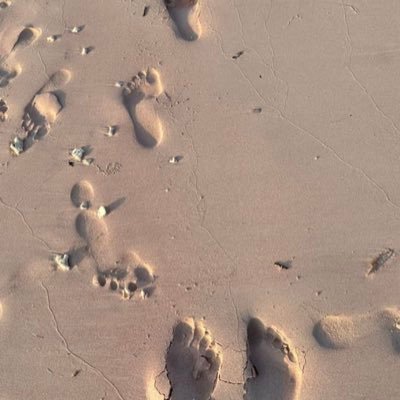 DikaBagaskara21's profile picture. The Hunter