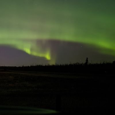 thisiswork16's profile picture. 