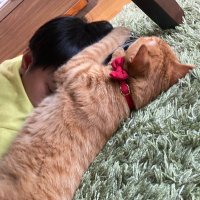 あい（ダ） (@god_water74615) Twitter profile photo