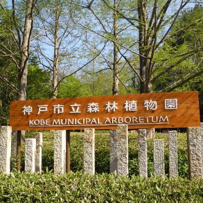 神戸市立森林植物園の公式アカウントです。当園一番の見どころ‘アジサイ’と‘紅葉’をはじめ、四季折々の園内の様子をご紹介します。おかげさまで、2020年に起工80周年を迎えました。駐車場は700台（￥500/回）。休園日は毎週水曜日です。