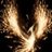 xxx_phenix_