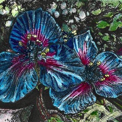 Photographer, Painter, Colored Pencil and Mixed Media artist and composer, Avid gardner. Photos:Birds,Insects,Flowers,Panoramas. Drawings,Paintings,Sketches.