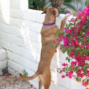 Chuck Powers - @Powers070100 - Twitter