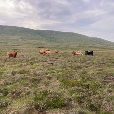 JamesMawle's profile picture. 