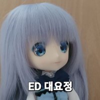 ED 대요정(@ED3LunateElf) 's Twitter Profile Photo