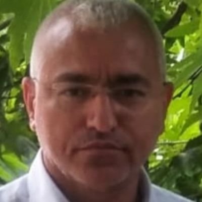 AliTatarol83598's profile picture. 