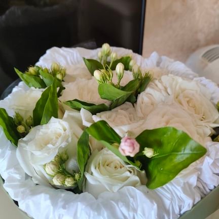 AnnieZh1696111's profile picture. 