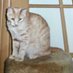 Lori Witherby (@witherbylori) Twitter profile photo Lori Witherby (@witherbylori) Twitter profile photo