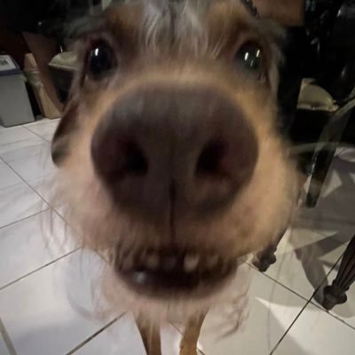 Mirukuchaaa's profile picture. 