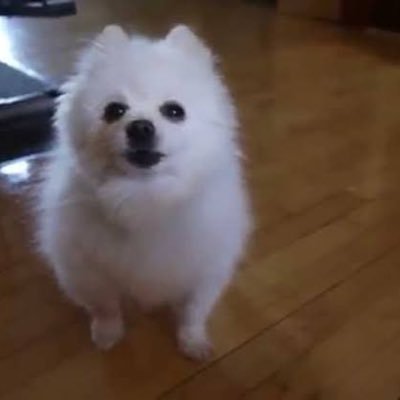 Staleychaso's profile picture. 