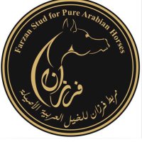 مربط فرزان FARZAN (@farzan_stud) 's Twitter Profile Photo