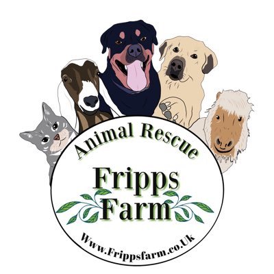 Fripps Farm is home to over 350 animals, many of which have been saved from slaughter. We take anything that needs a home. Please help us to help the animals!!