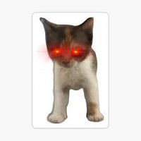 Tsingtao (@tsingtao1808) 's Twitter Profile Photo Tsingtao (@tsingtao1808) 's Twitter Profile Photo