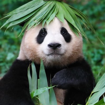 Ssuyugig's profile picture. 솔직히 남자얘기보다 내 얘기를 더 많이 함