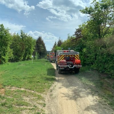 BrosseDavid's profile picture. 