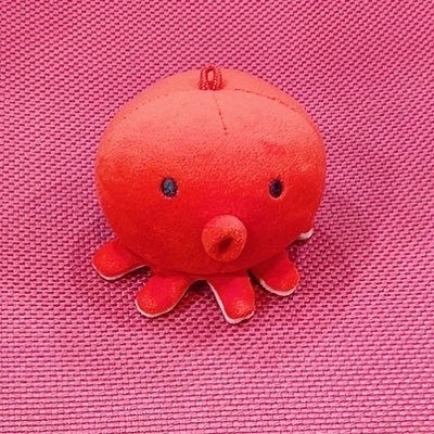 るちさんのプロフィール画像