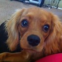 Anna Monreal - @annamonreal84 - Twitter