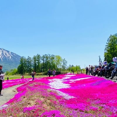 なおです(*^^*)
旦那のtandem専門でしたが、最近普通自動二輪車取得しました。
グラストラッカーに乗ってます✨
宜しくお願いします。