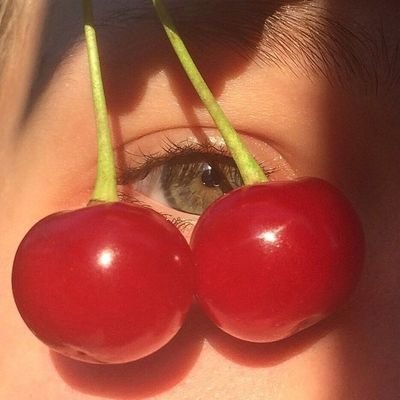 roarsuus's profile picture. 🐦🔭 *fietfieuw*

ik eet graag #foodie🥢dans graag 💃 heb de natuur graag lief 🌳