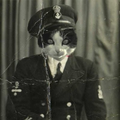 Hawl_come's profile picture. 