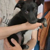JULIA (@julianimalss) 's Twitter Profile