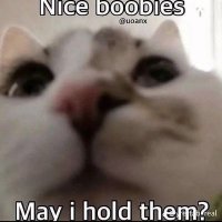 burgerbutnotcheessy (@cheezyburgerbb) 's Twitter Profile