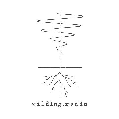 Wilding Radio invites you to tune in to the sounds of nature recovery, from anywhere, anytime.  What do you hear? How does it make you feel?