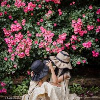ほぺらんぷ (@hoppecoppe) 's Twitter Profile Photo ほぺらんぷ (@hoppecoppe) 's Twitter Profile Photo