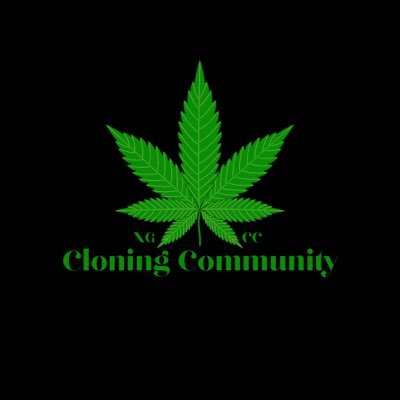 CloningXGCC Profile Picture