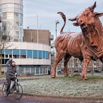 Raadslid GroenLinks/Gemeente Amersfoort/Diversiteitroeptoeter/Strijder/'Groencommunist'

-Rap van tong en allerminst bang voor confrontatie-