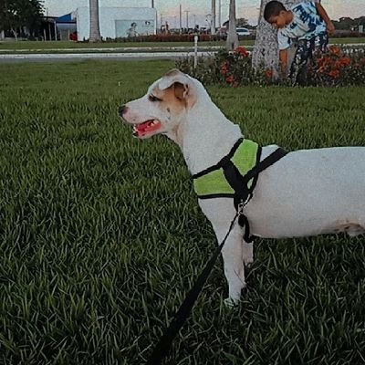 aaaa que saudade da praiaa