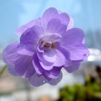 BanBan70407jdtg's profile picture. 土日は本格的家庭菜園、たまに食虫してます